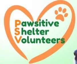 Volunteers of Macon County North Carolina help shelter and rescue dogs and cats