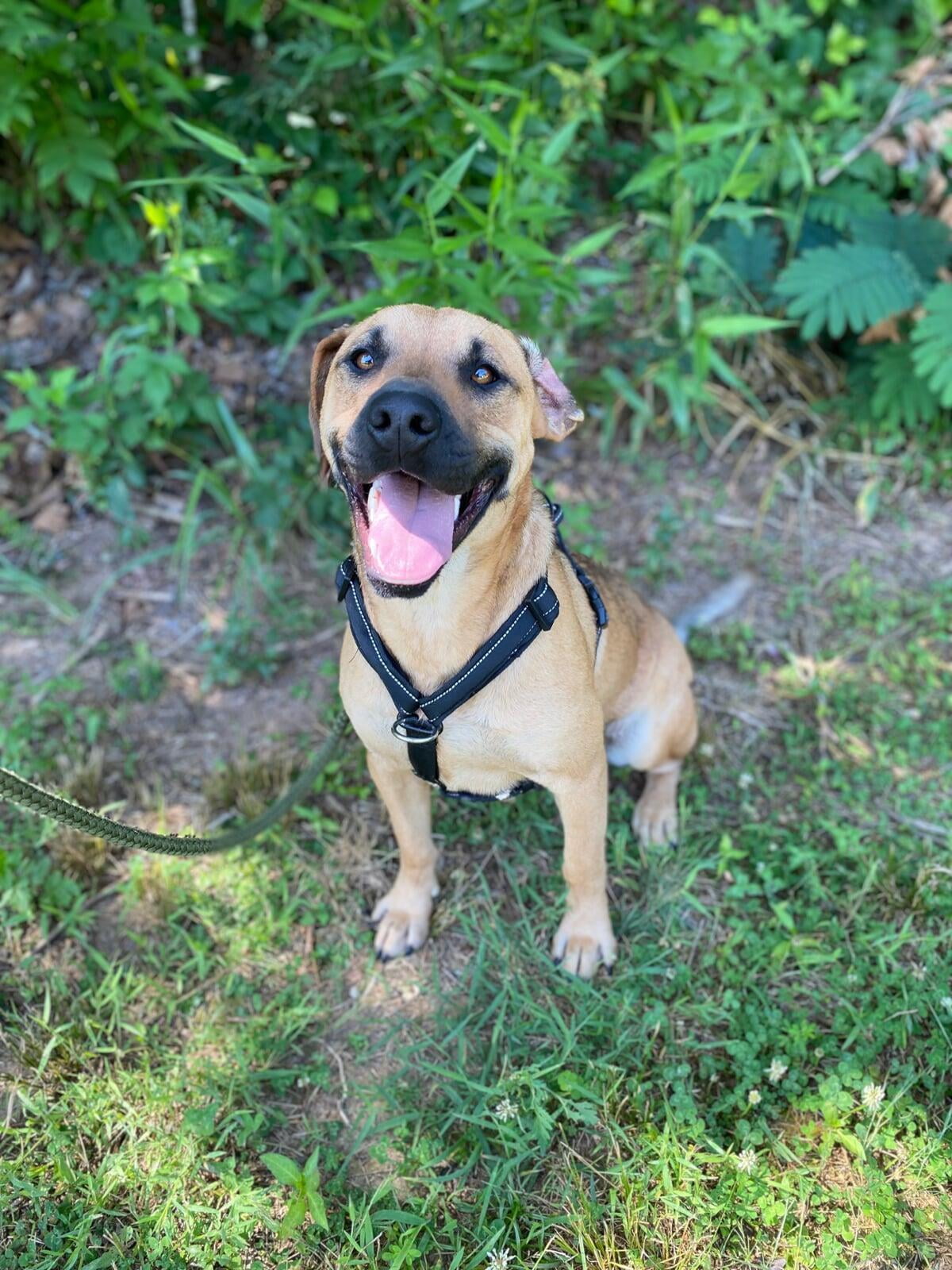 Hello, I'm Asia