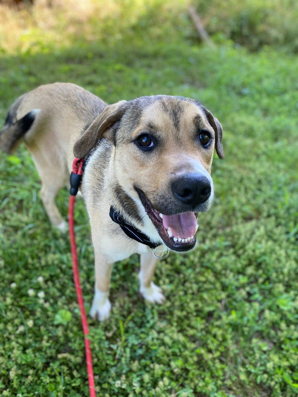 Hello, I'm Buster