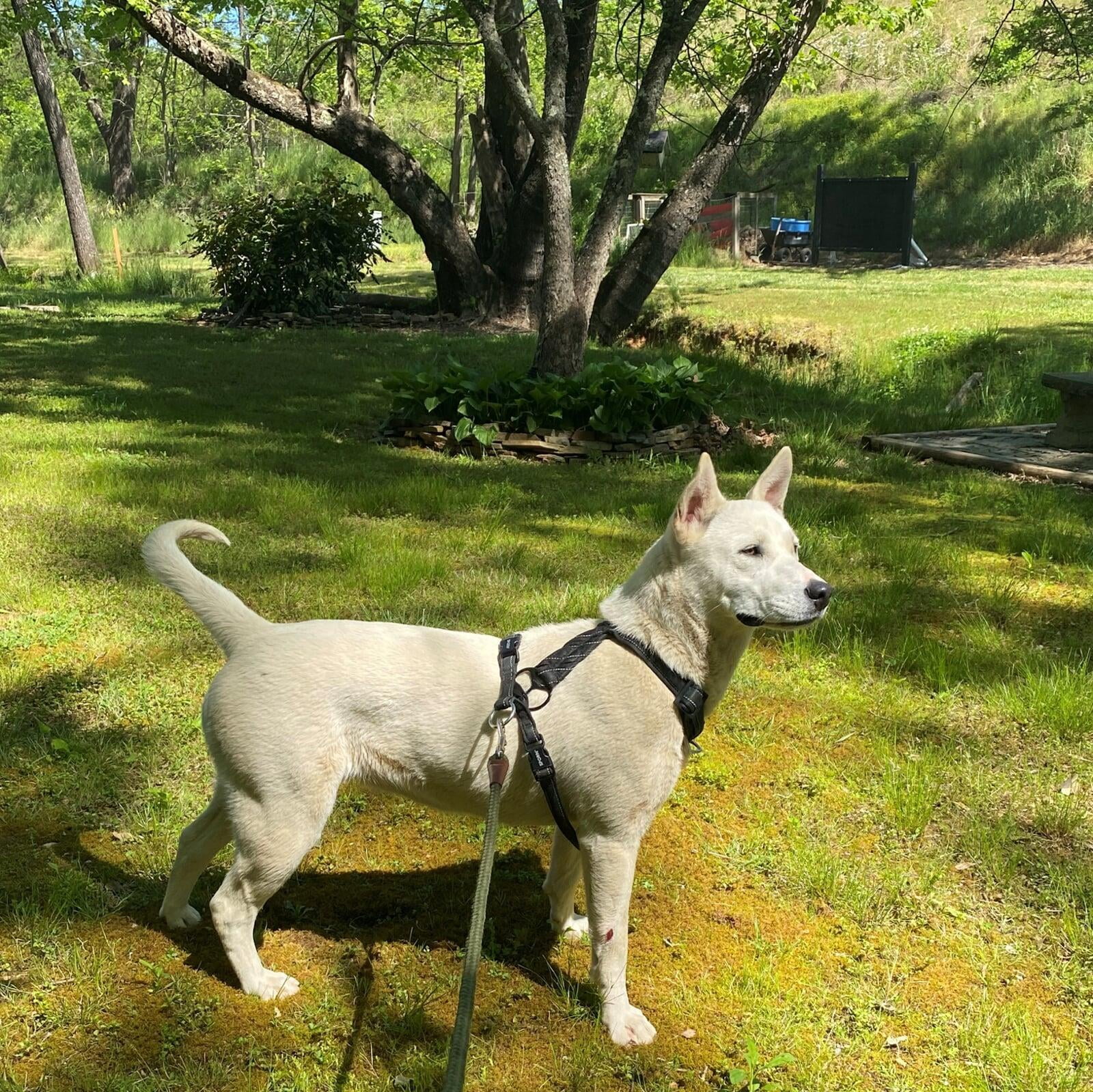 Hello, I'm Daisy
