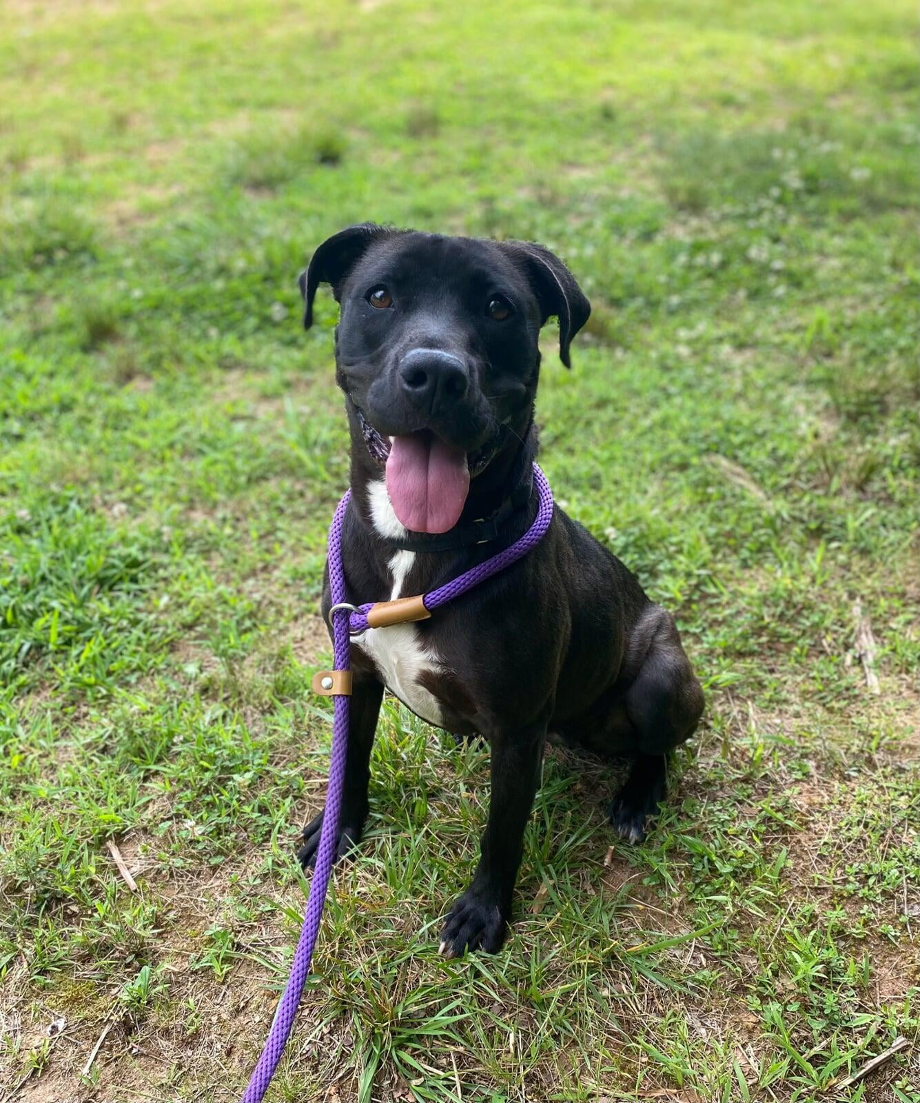 Hello, I'm Jet