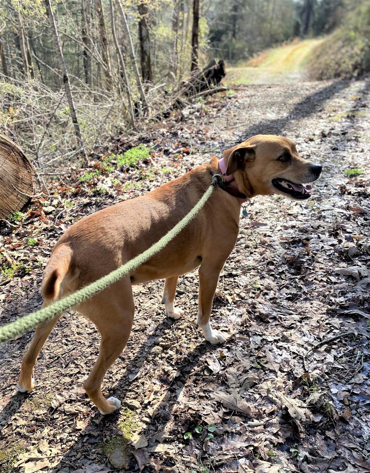 Hello, I'm Rousey