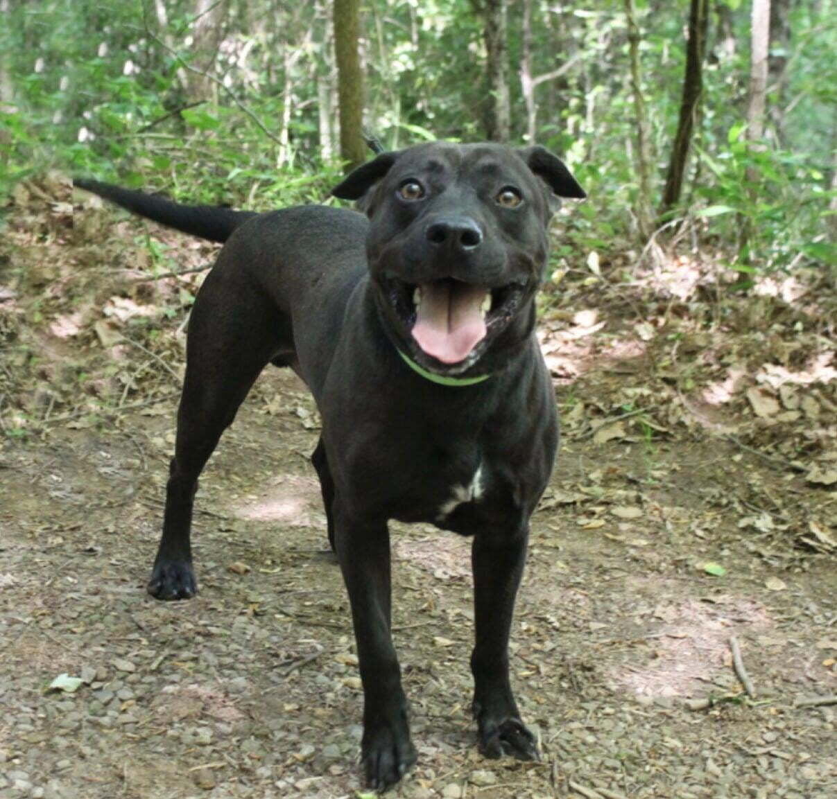 Hello, I'm Titan